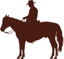 cowboy image